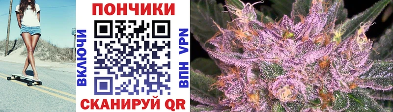 сколько стоит  Отрадное  Канабис семена 
